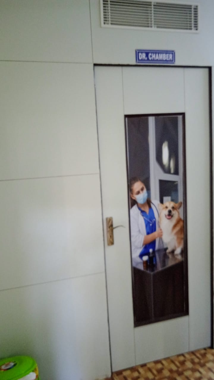 Mastering the First Impression: Your intriguing post title goes here WhatsApp Image 2025 11 18 At 14.29.49 62ebbf27