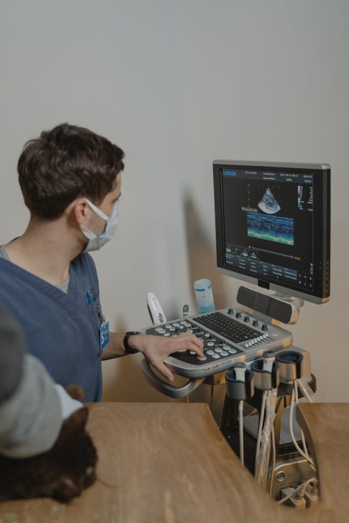 A veterinarian performing an ultrasound scan on an animal in a clinical setting.